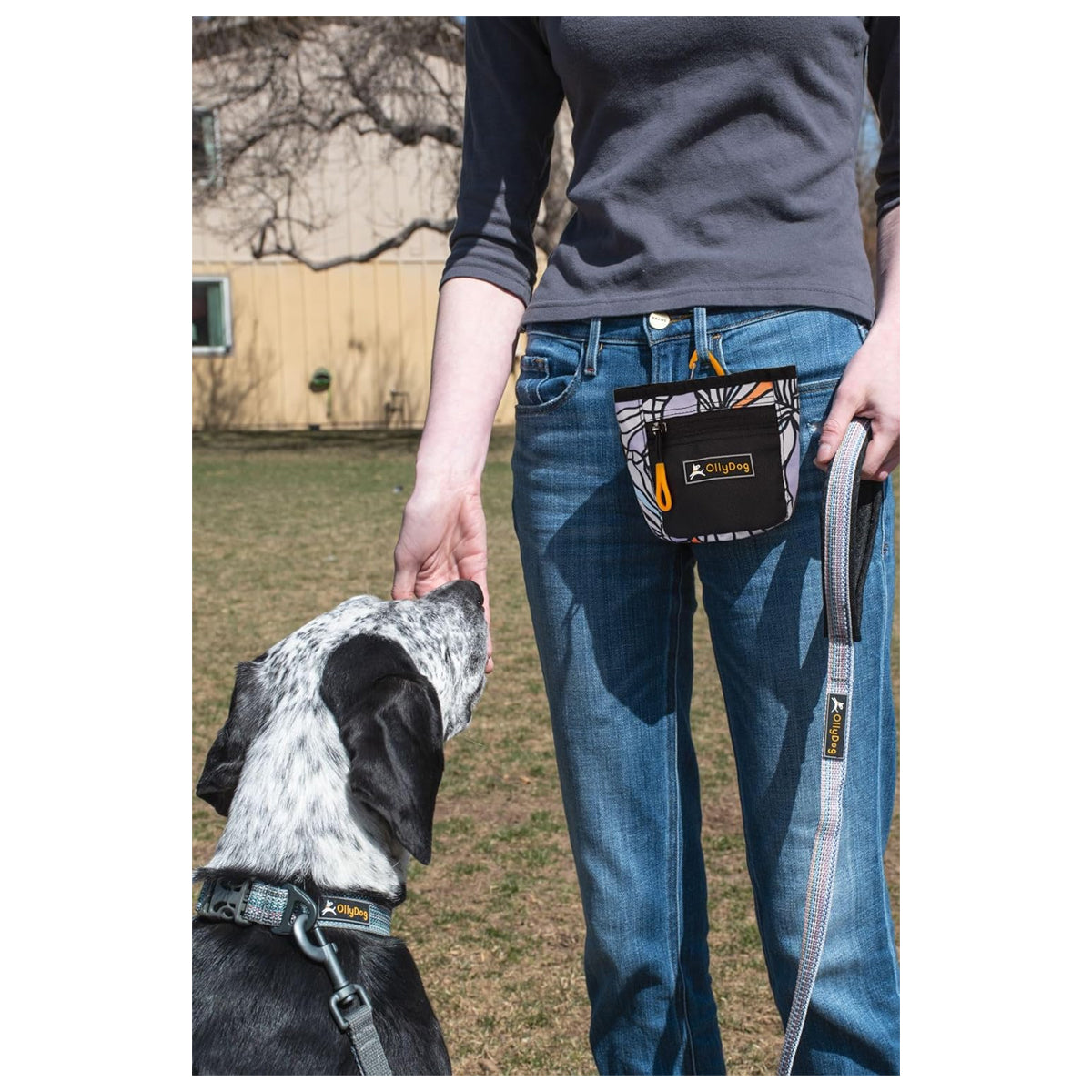 Hands-Free Dog Treat Pouch with Waist Belt Clip, Magnetic Closure, and Versatile Wear Options - Perfect for Training and Behavior Aid