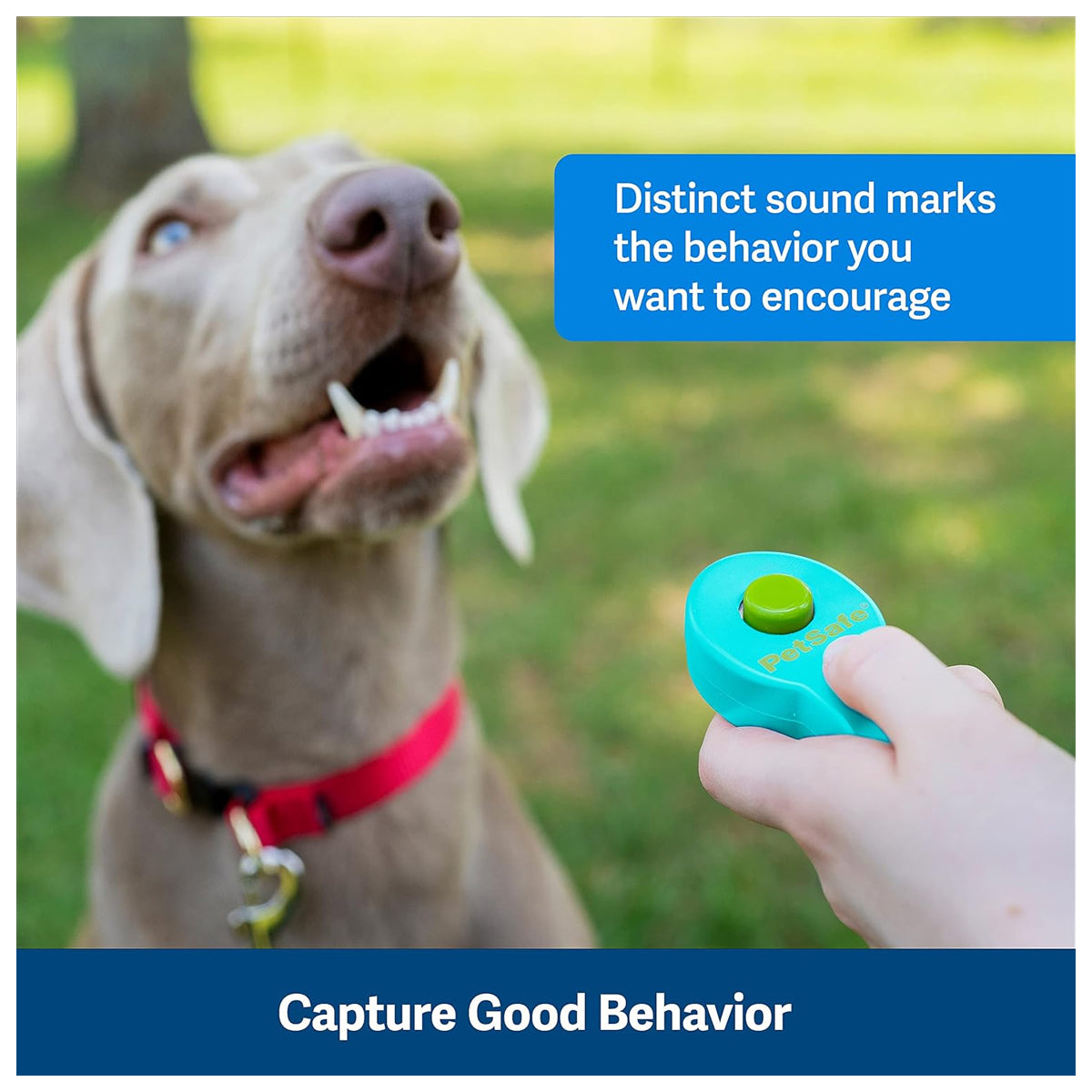 Clik-R Dog Training Clicker - Positive Behavior Reinforcer for Pets - All Ages