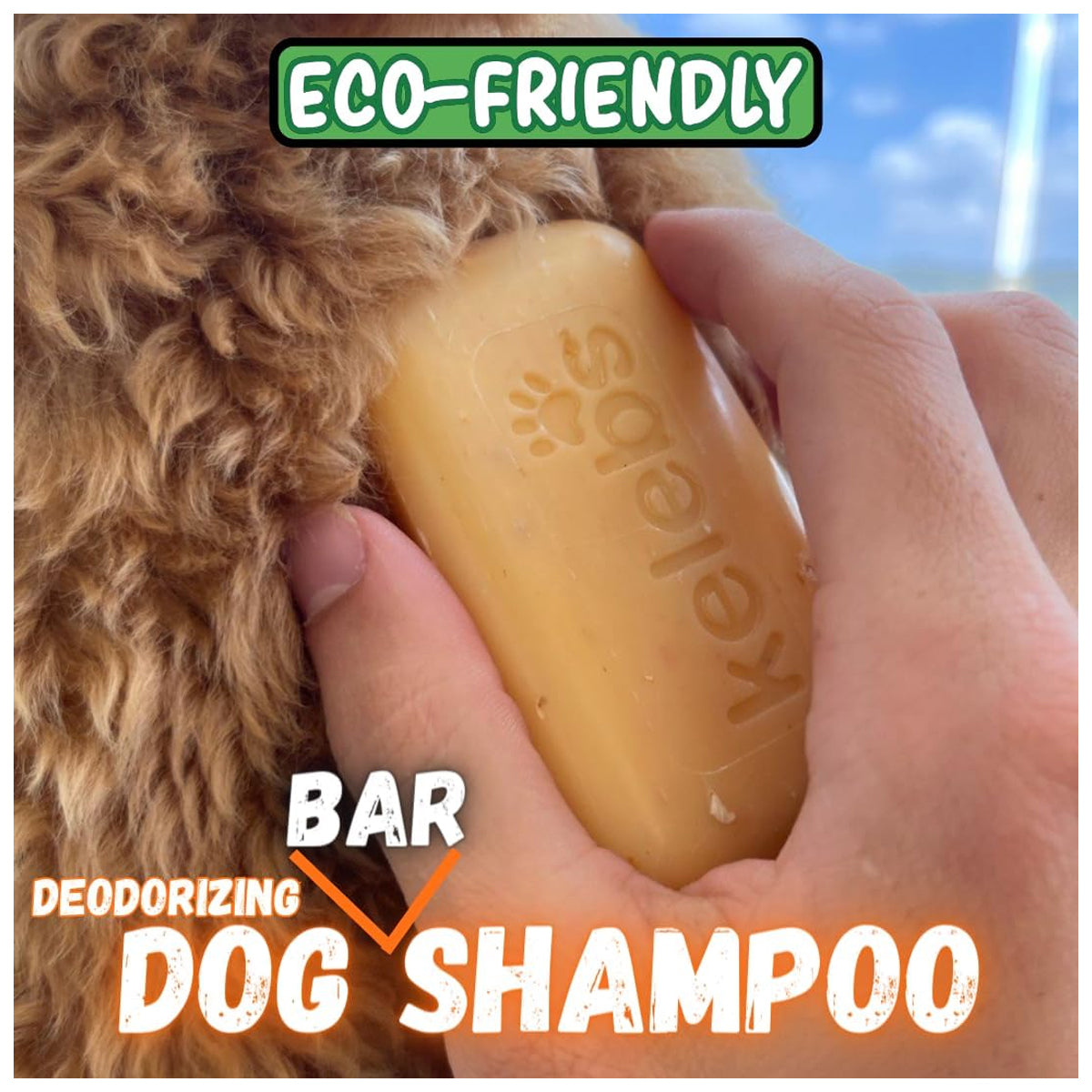 s Deodorizing Dog Shampoo for Smelly Dogs | Puppy Shampoo | Organic Pet Shampoo for Dogs