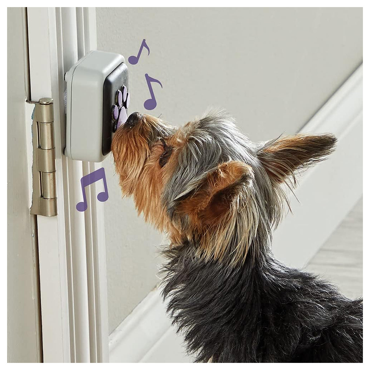 Hunger for Words Talking Pet Doorbell - 1 Piece Doorbell for Dogs