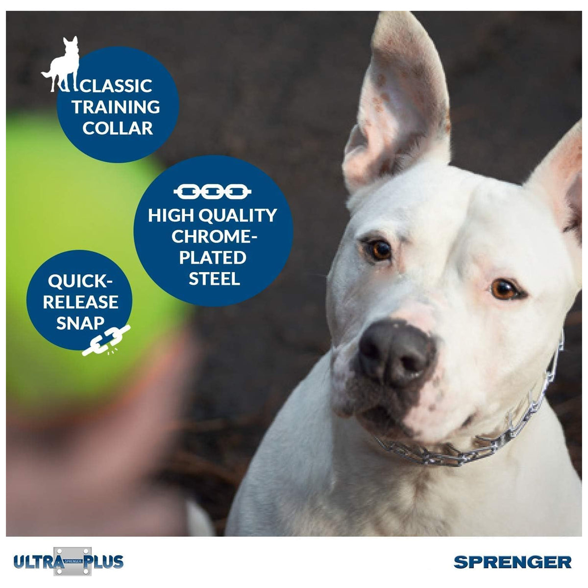 Herm Sprenger Pet Supply Imports Chrome Plated Training Collar with Quick Release Snap for Dogs