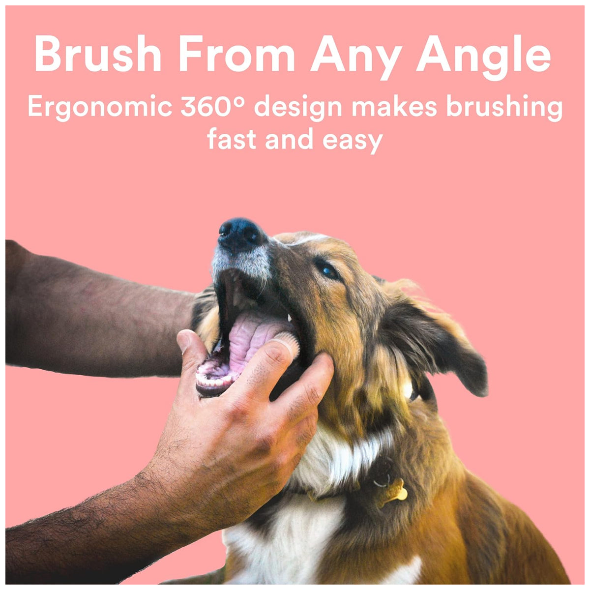 Complete Pet Dental Care Kit: 360º Toothbrushing for Dogs and Cats