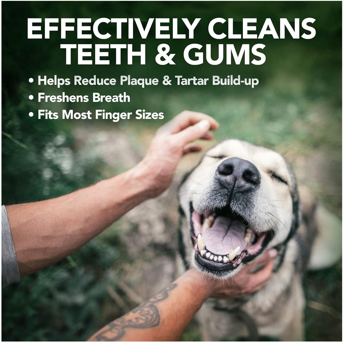 Dental Care Finger Wipes - Reduces Plaque & Freshens Breath - Teeth Cleaning Finger Wipes for Dogs & Cats - 50 Count