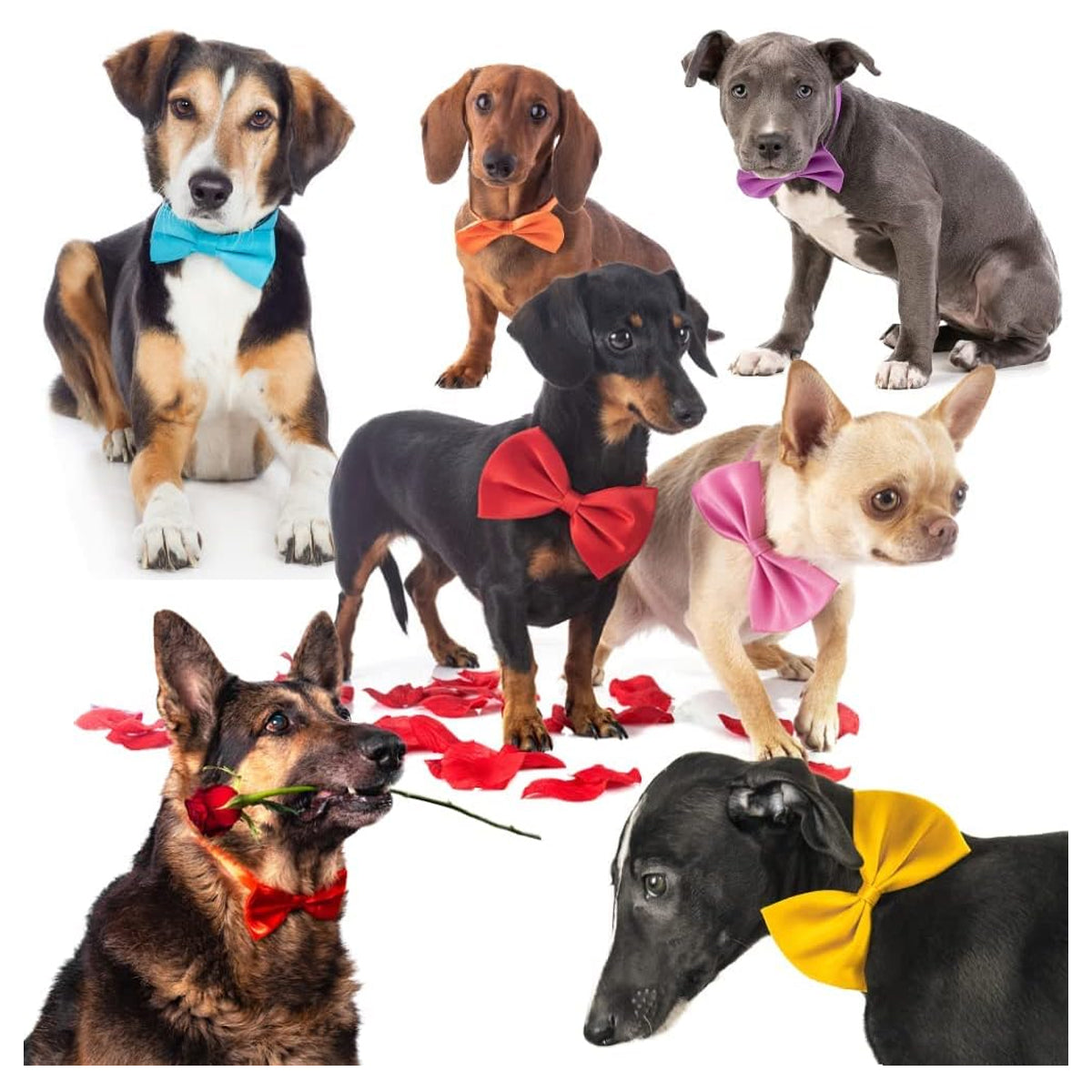 50Pcs Dog Bow Ties with Adjustable Collar