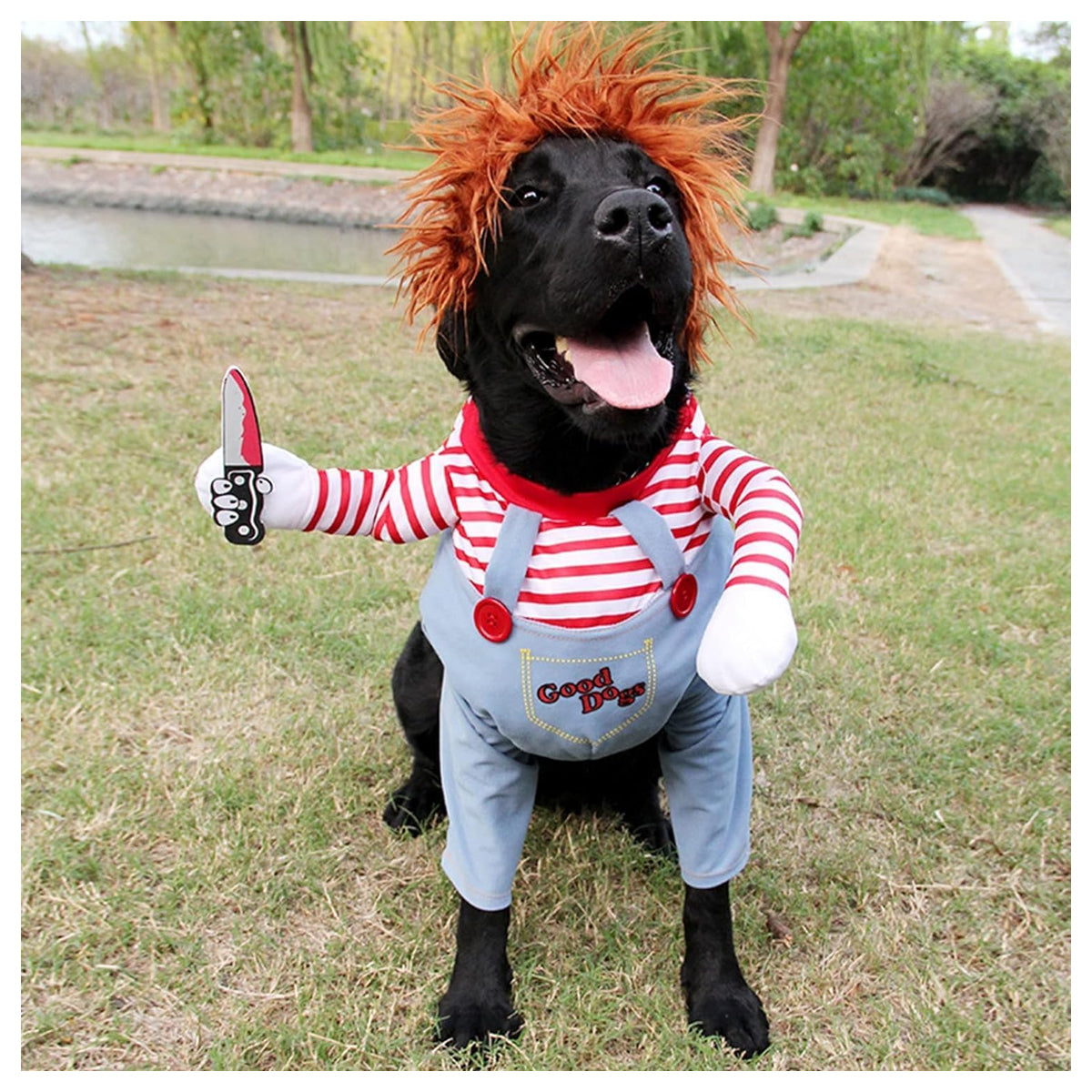 Pet Dog Clothing Funny Clothing Wig and Knife Novelty Funny Horror Props Clothing Accessories