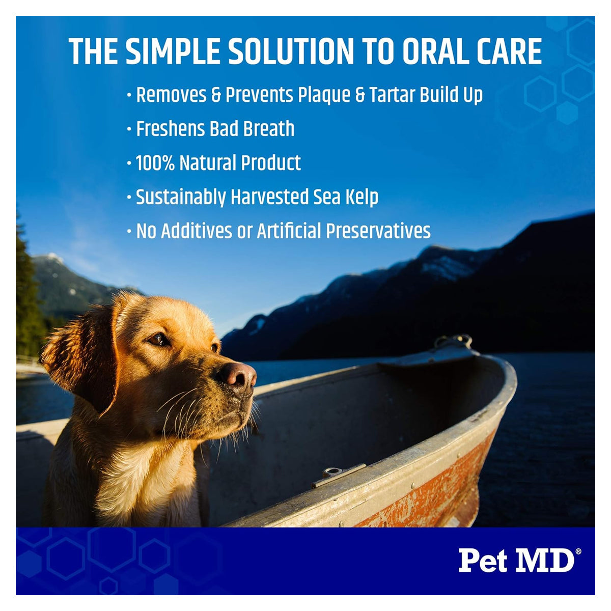 Proden PlaqueOff Dog Teeth Cleaning Dental Care Powder