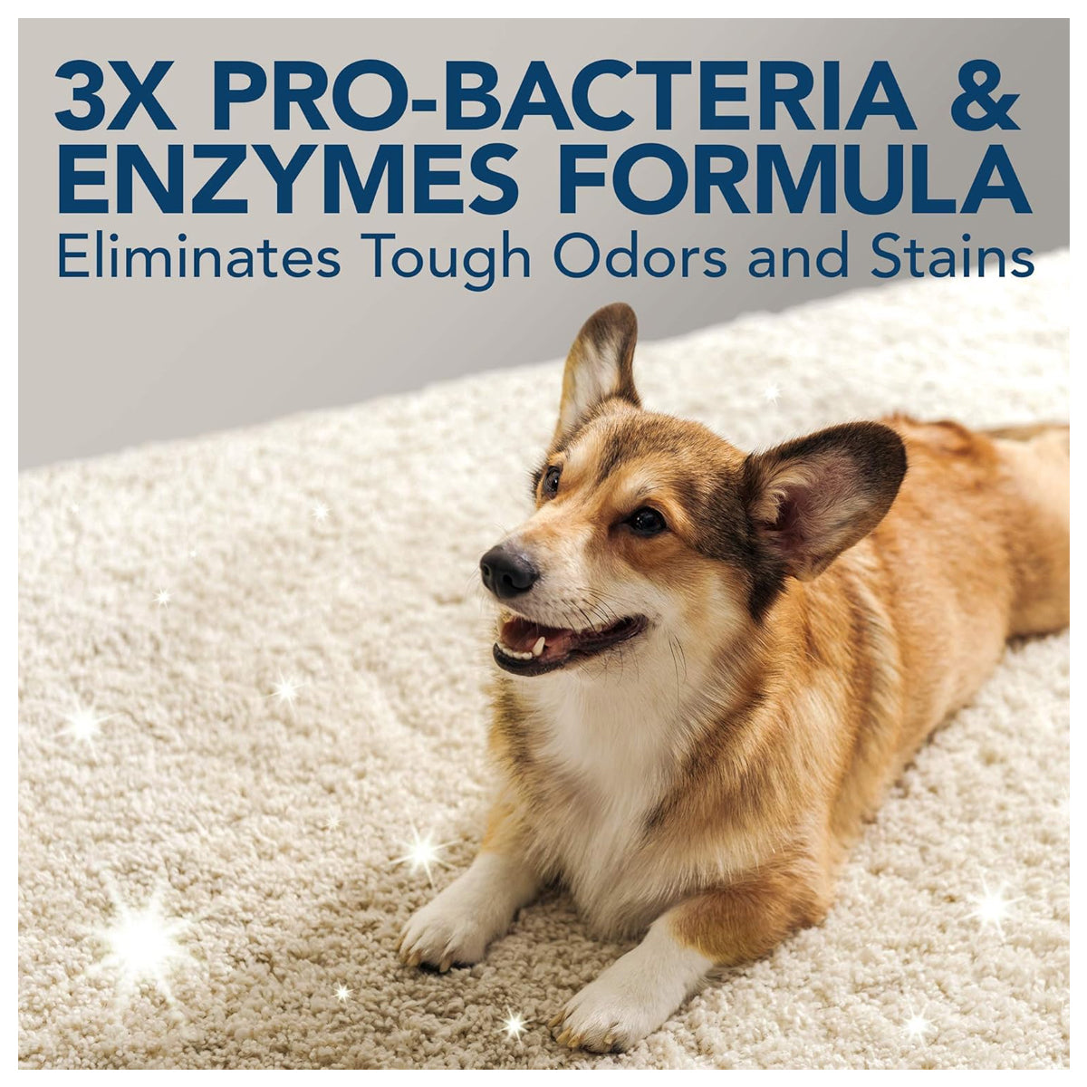 Powerful 32 Ounce Enzymatic Cleaner for Pet Stain and Odor Removal - 3X Pro-Bacteria Cleaning Strength by Simple Solution Extreme