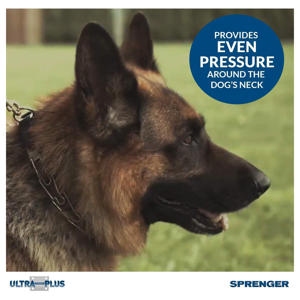 Herm Sprenger Pet Supply Imports Chrome Plated Training Collar with Quick Release Snap for Dogs