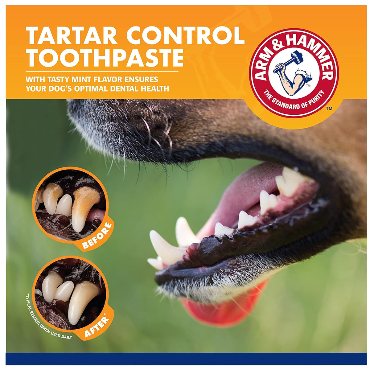 Arm & Hammer for Pets Dog Dental Care Fresh Breath Kit