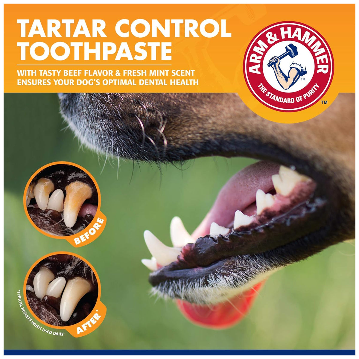 Pets Tartar Control Kit for Dogs | Contains Toothpaste, Toothbrush & Fingerbrush