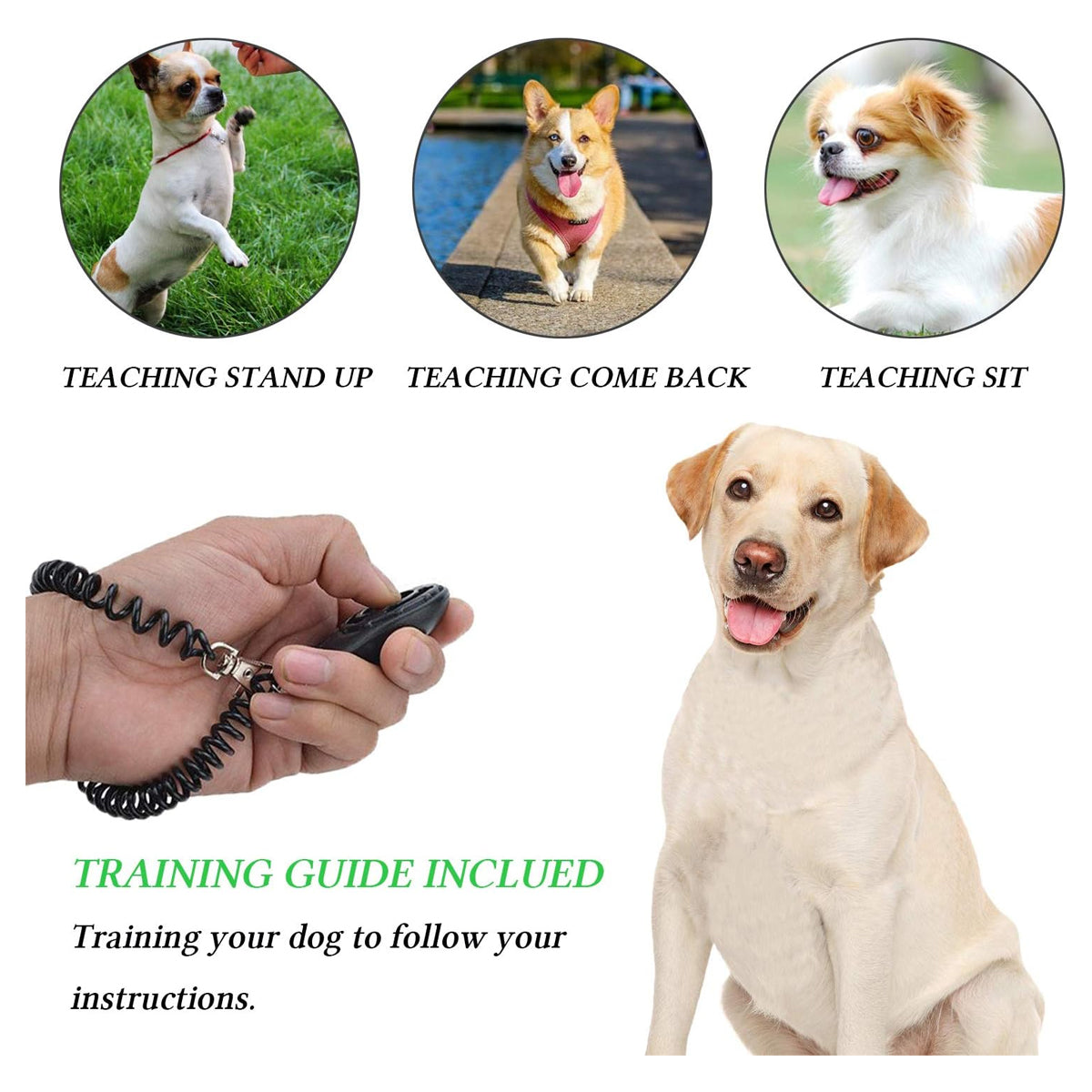 4-in-1 Dog Training Set, Puppy Training Treats- Dog Treat Training Pouch, Dog Whistle, Dog Doorbells