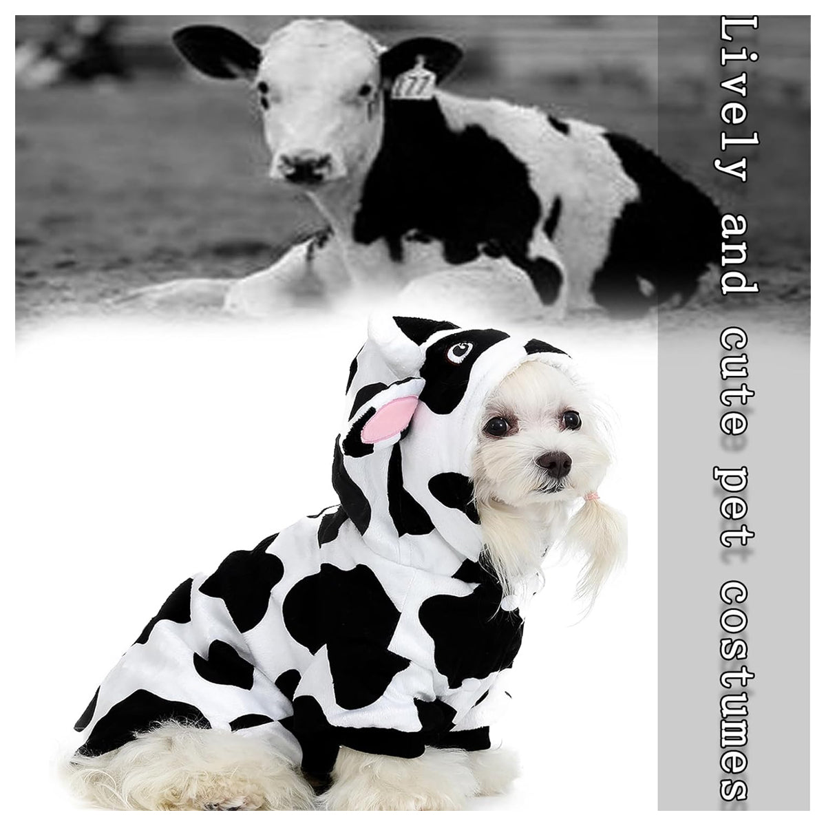 Cow pet Clothing, Small and Medium-Sized cat and Dog Clothing, Modeling Cow Role-Playing Dog