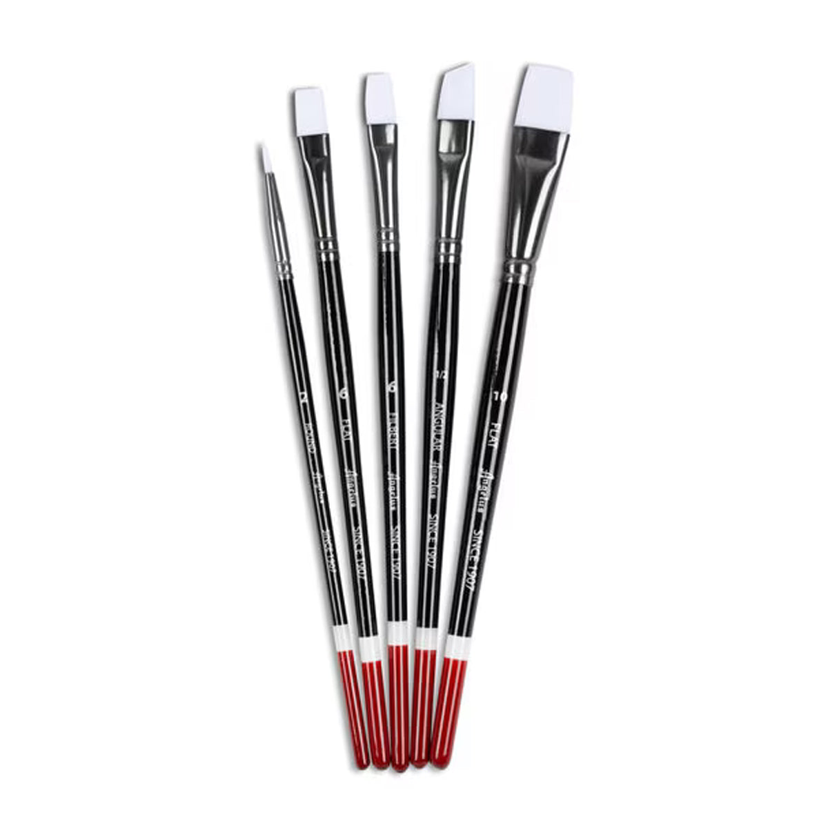 Angelus Brush Set 5pc