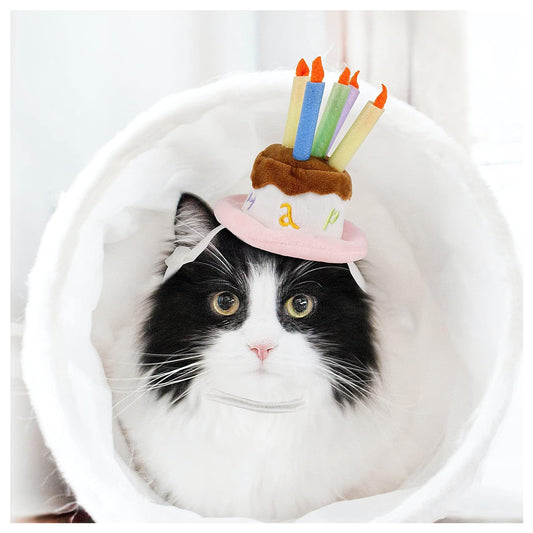 Namsan Holiday Pet Costume Cat Birthday Hat Small Dog Birthday Cake Hat Dog Birthday