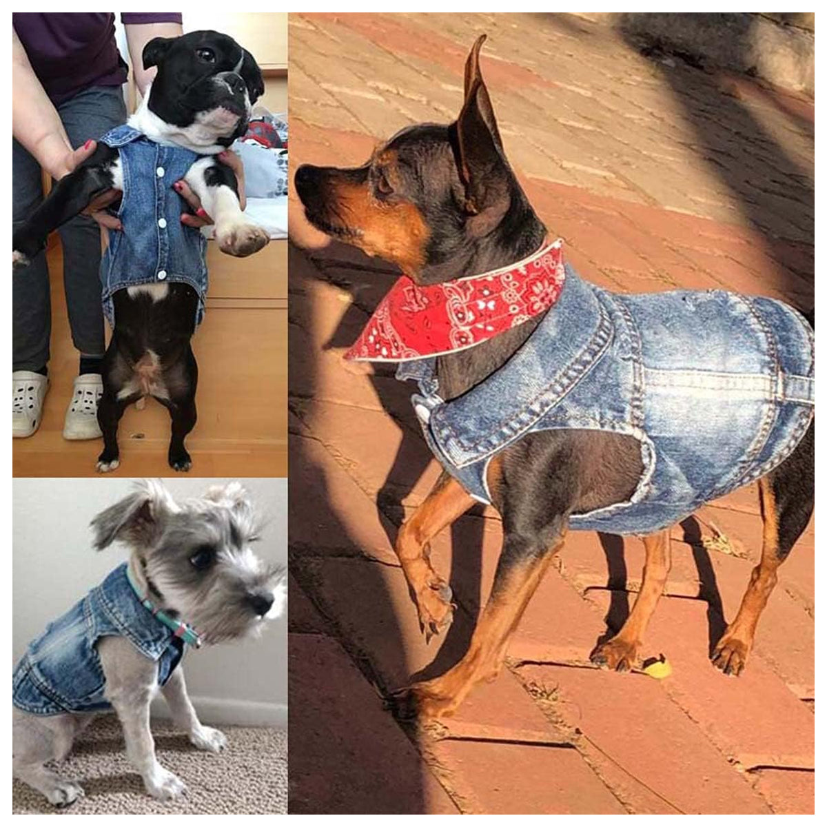 Dog Jean Jacket, Puppy Blue Denim Lapel Vest Coat Costume, Girl Boy Dog T-Shirt Clothes