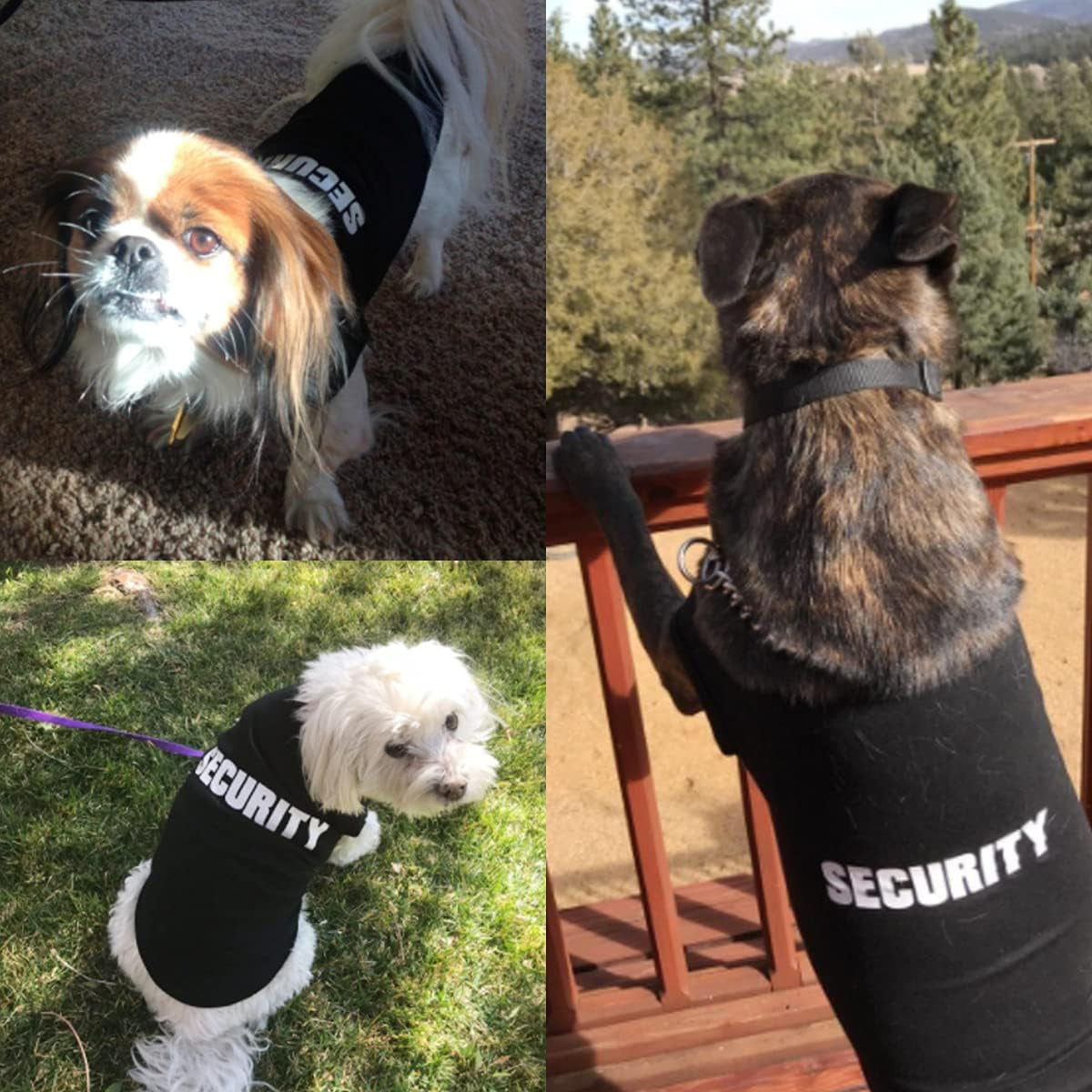 Dog Shirts Security Cat Apparel Costumes for Cosplay，Breathable Pet T-Shirts