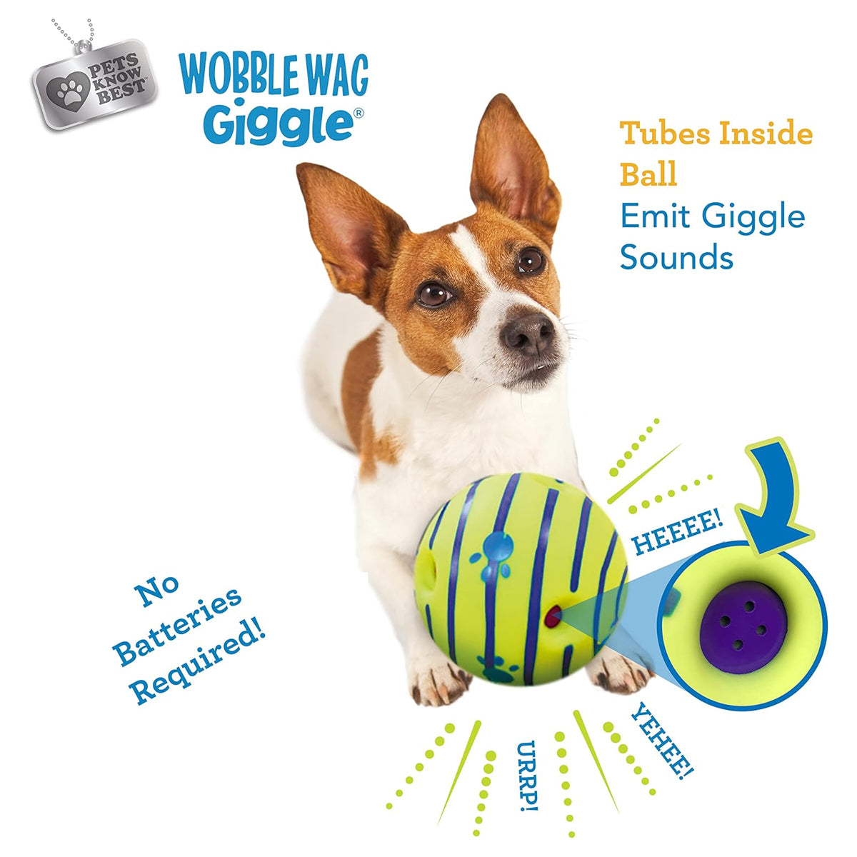 Interactive Dog Toy, Fun Giggle Sounds When Rolled or Shaken