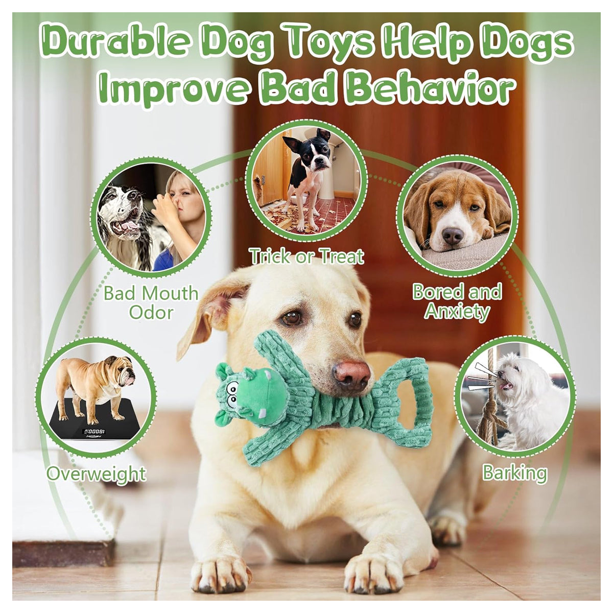 Soft Plush Squeaky Dog Toys for Small, Medium, and Large Pets - Ideal for Indoor Tug of War Play