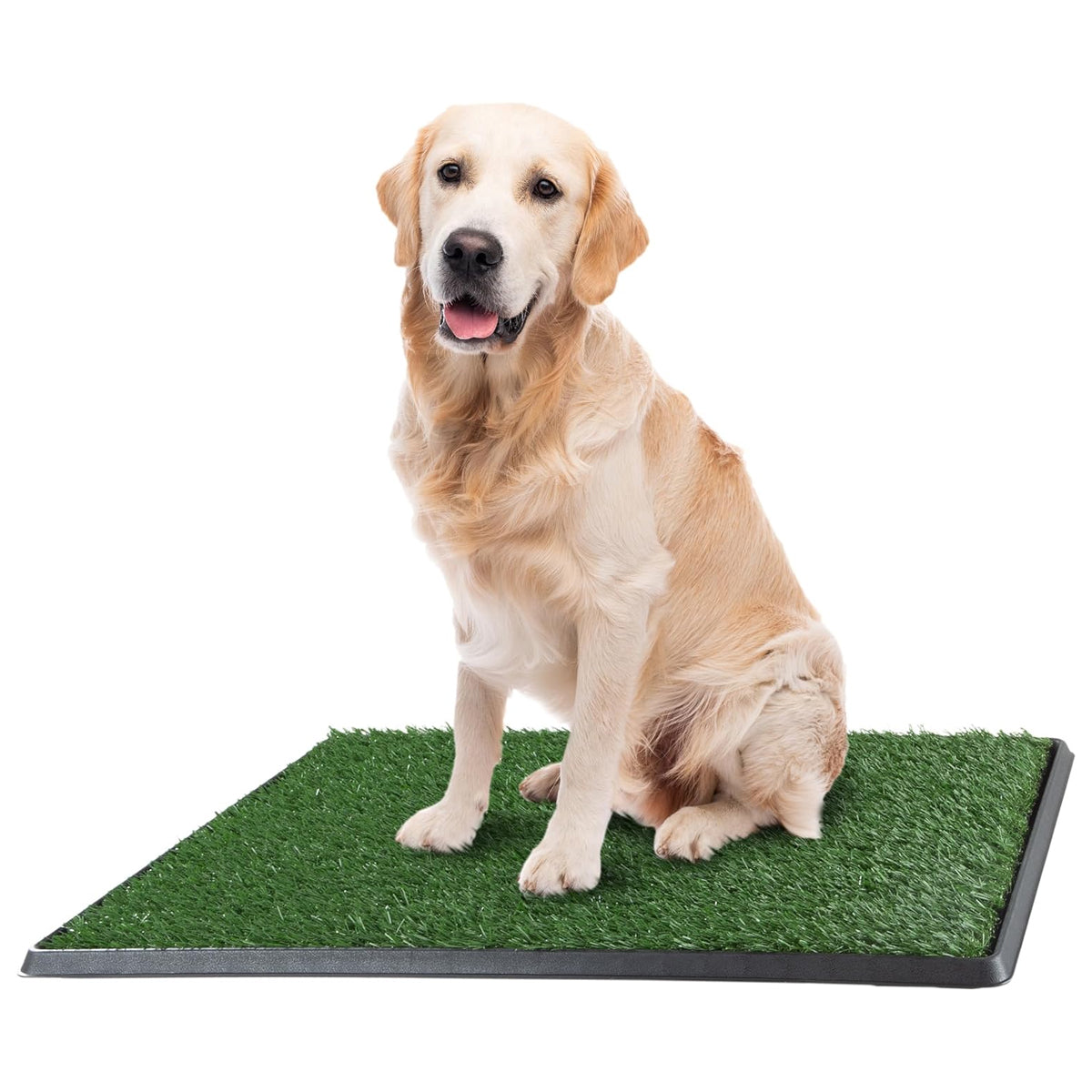 Artificial Grass Puppy Pee Pad for Dogs and Small Pets - 16x20 Reusable 3-Layer Training Potty Pad with Tray - Dog Housebreaking Supplies