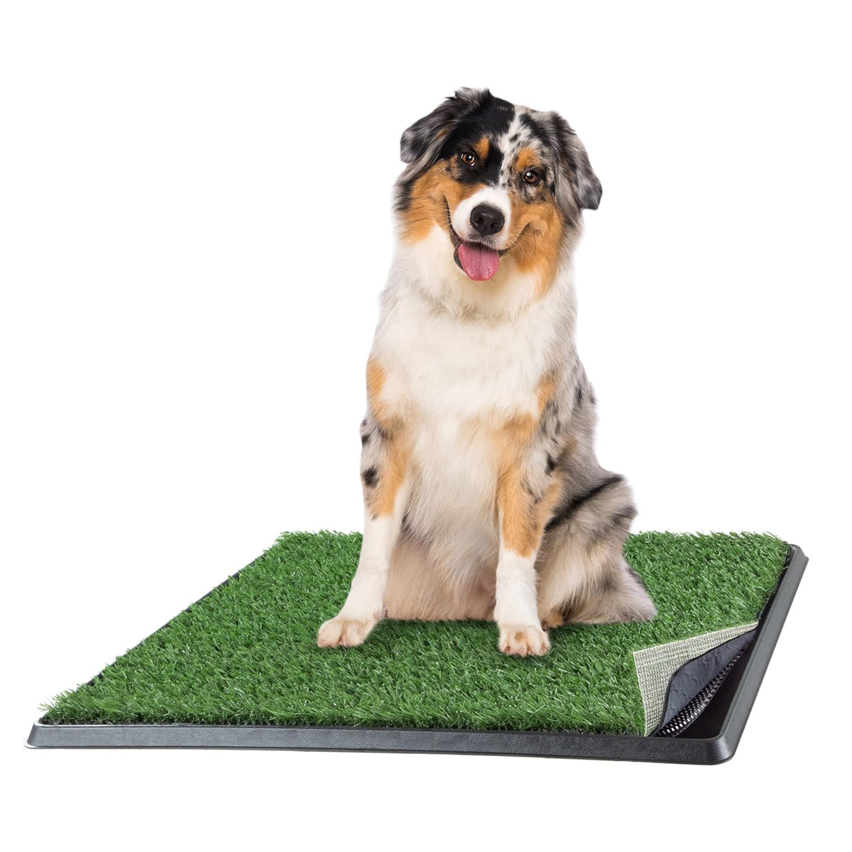 Artificial Grass Puppy Pee Pad for Dogs and Small Pets - 16x20 Reusable 3-Layer Training Potty Pad with Tray - Dog Housebreaking Supplies