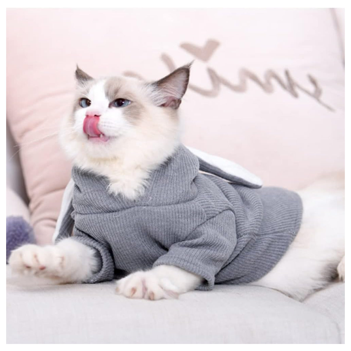 Pet Hoodie Cat Rabbit Outfit with Bunny Ears Cute Sweatshirt Spring and Autumn Puppy Knitted Sweater Kitty Soft Knitwear