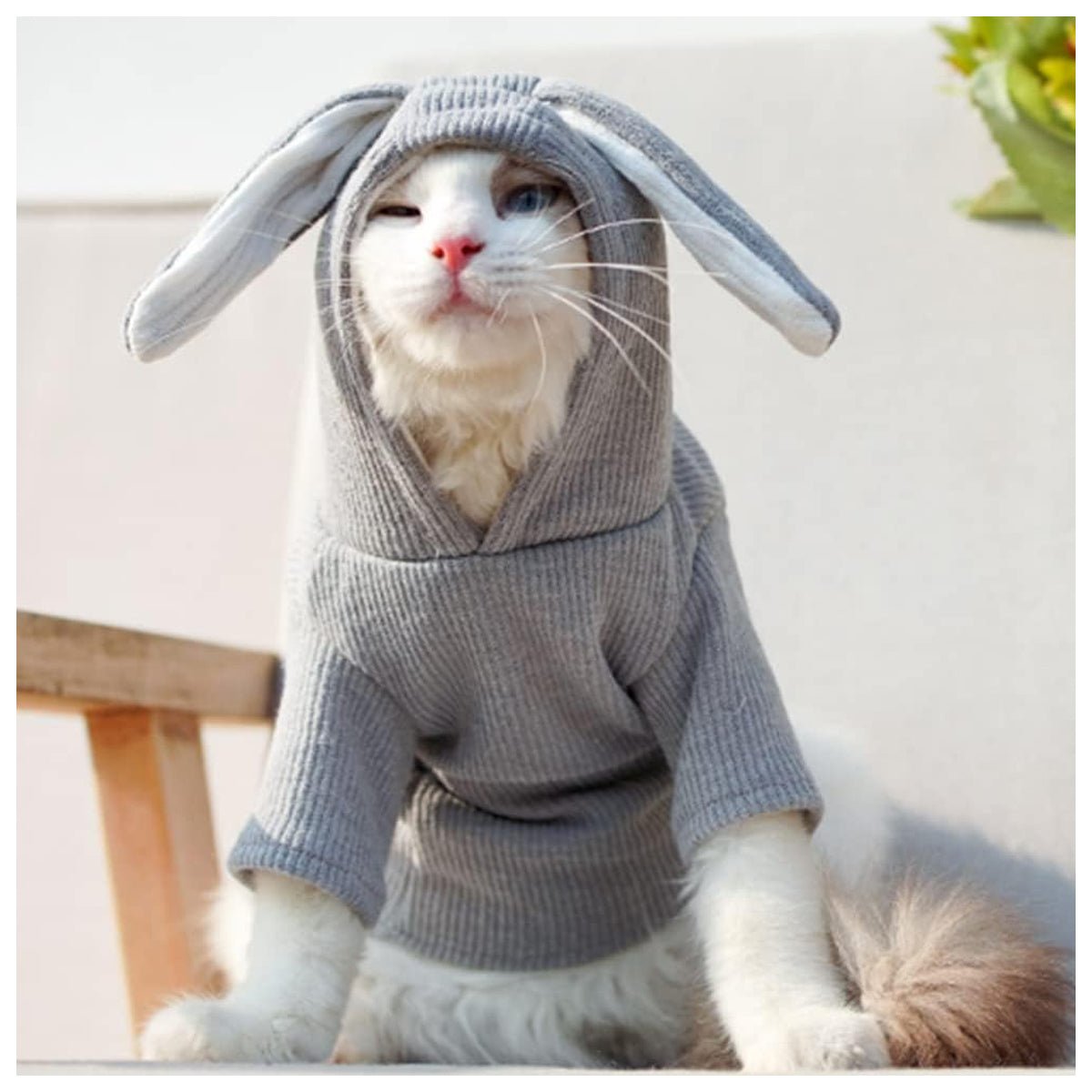 Pet Hoodie Cat Rabbit Outfit with Bunny Ears Cute Sweatshirt Spring and Autumn Puppy Knitted Sweater Kitty Soft Knitwear