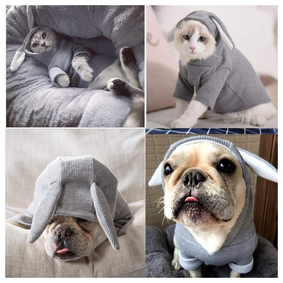 Pet Hoodie Cat Rabbit Outfit with Bunny Ears Cute Sweatshirt Spring and Autumn Puppy Knitted Sweater Kitty Soft Knitwear