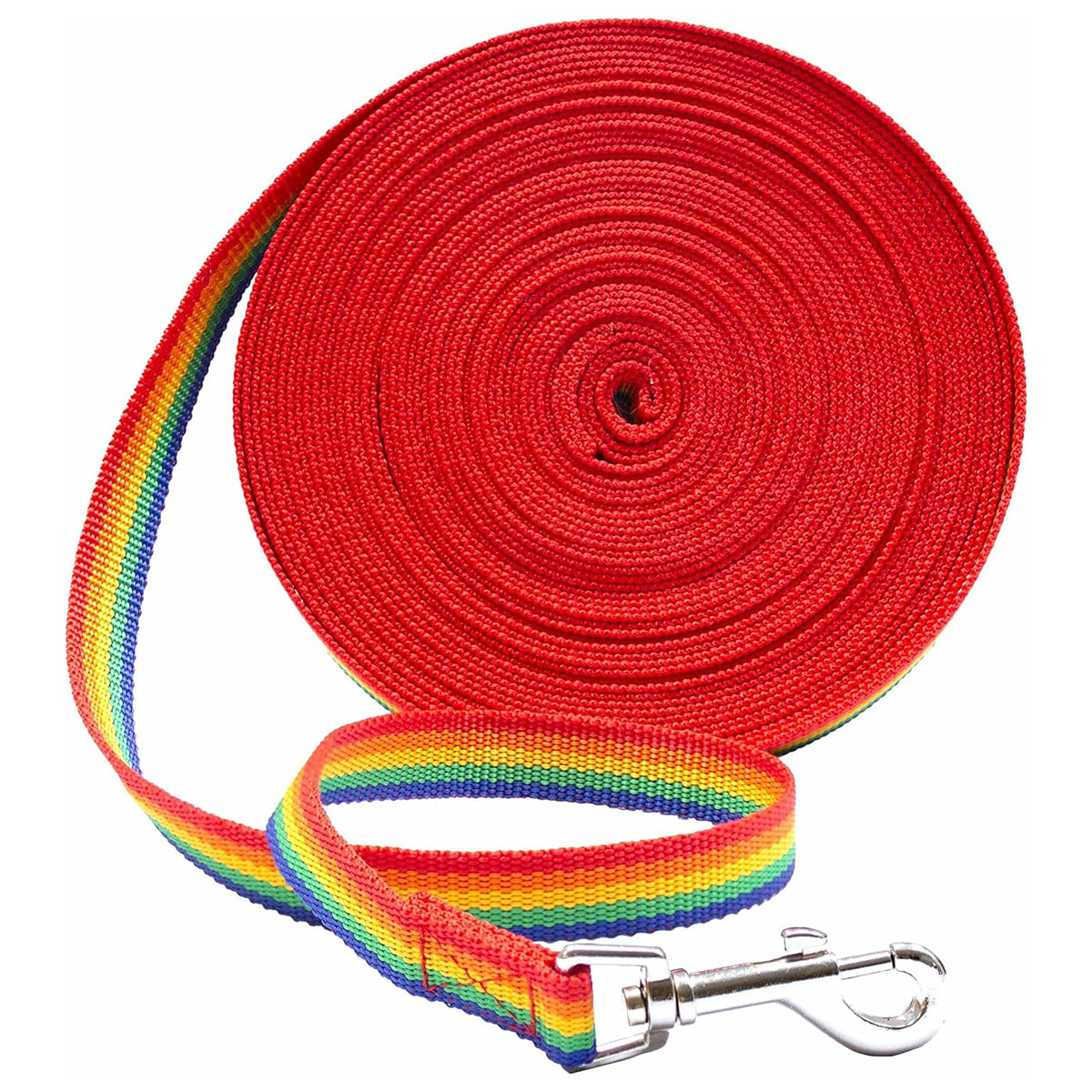 Downtown Pet Supply - 15 ft Long Nylon Dog Training Leash for Recall & Obedience - Essential Training Tool